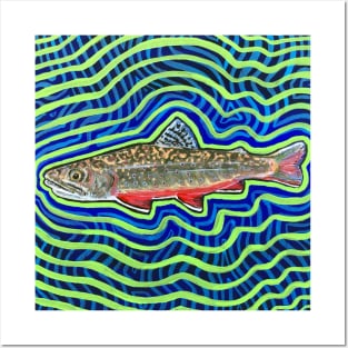 Southern Appalachian Brook Trout Posters and Art